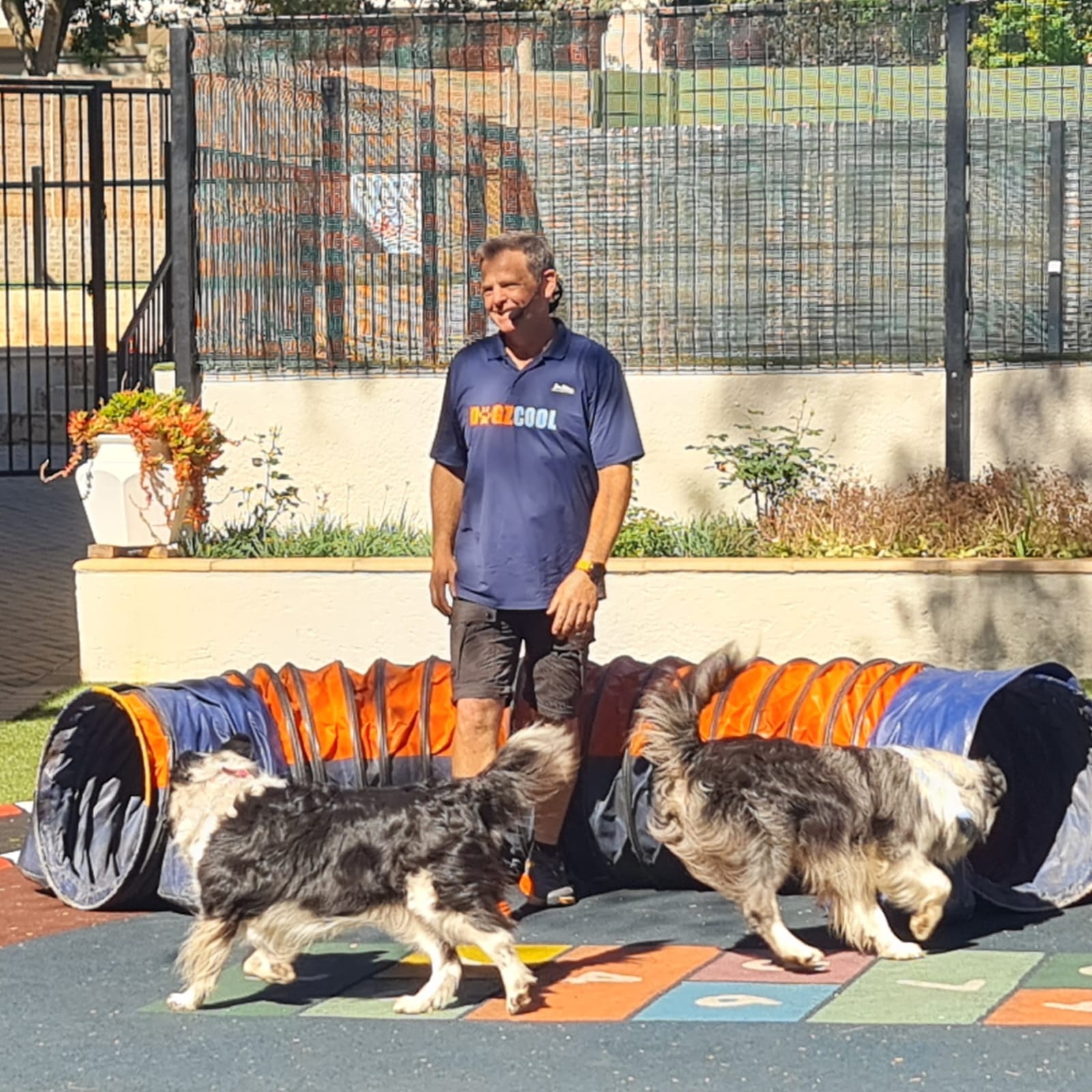 2025 Incredible Dog Show